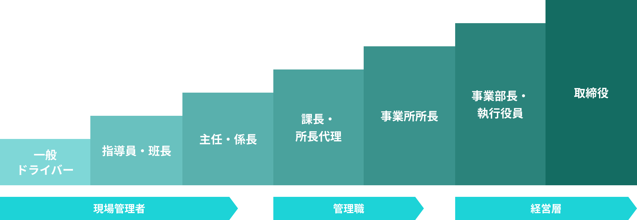 清水運輸グループのキャリアプラン